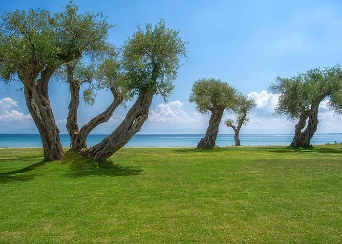 Domes Miramare, A Luxury Collection Resort, Corfu - Adults Only Hotel 5*